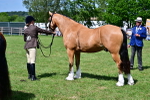 SBM_08072