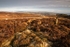 Bradfield Moors