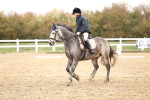 SBM_001981