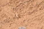 230405A-104220-00198