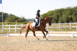 SBM_007516