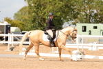 SBM_03750
