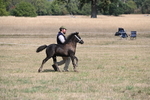 WJ6_5121