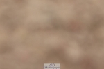 250621-131038-09100