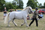 WJ6_6606