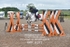 BPP_8371