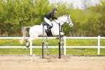 SBM_006105