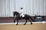 SBM_020311