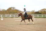 SBM_000887