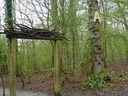 Groombridge portfolio