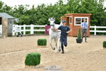 Wednesday Trot Up portfolio