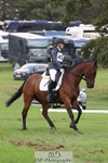 454-MILTONHILL.MALENKI-Holly.Horton-DR portfolio
