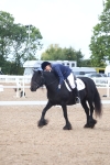 SBM_00264