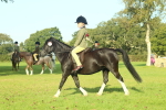 SBM_59221
