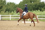 SBM_000411