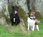Jay & Buster