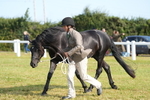 DSC05007