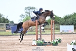 Cls 30 Snr Foxhunter portfolio