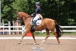 Cls 19 BD FEI Intermediate I portfolio