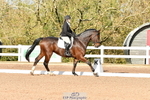 UnAf Novice 27 portfolio