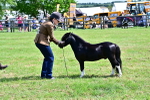 SBM_03467