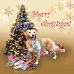 X48a  Ruby is sure one of the presents must be for her