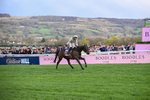 130326-Race 5-Gaelic Warrior-2621