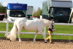 SBM_08618