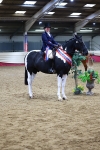 Supreme Final - Ridden Champ portfolio
