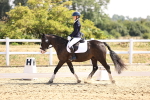 SBM_003541