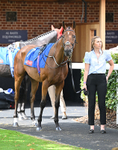 220826-176 Mr Hollywood