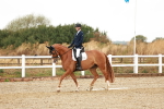 SBM_001665