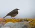 20110615-IMG_5860
