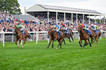 220826-Race 4-Daiquiri Bay-0432