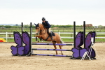 SBM_009115