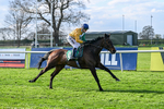 100426-Race 6-In The Breeze-3669