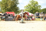 SBM_41335