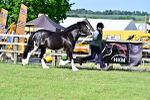 SBM_10096
