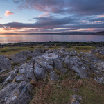 Silverdale in the Pink