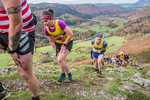 Stybarrow Dodd-478
