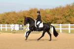 SBM_009384