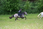 WJ7_8642