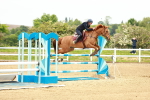 SBM_000985