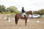 SBM_009455