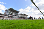 230824-Race 4-Bradsell-4288