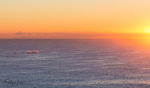 Whale Sunrise 1