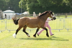 SBM_02073