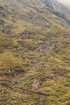 Peris Horseshoe-852