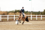 SBM_001743