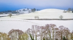 Two Tree Hill, Cotswolds near Bath.